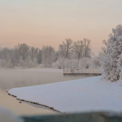 -40 Frozen