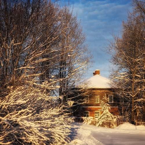 Photo #10140008