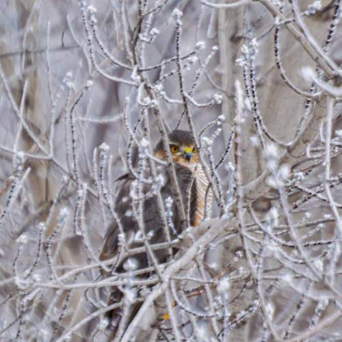 Photo #10140012