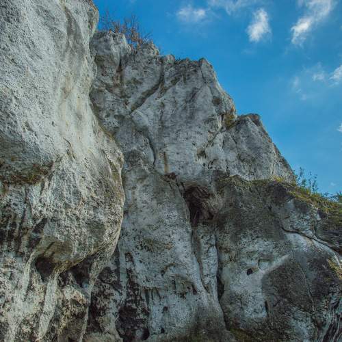 Photo #10140014