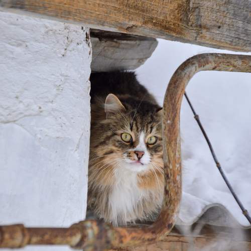 Photo #10140029