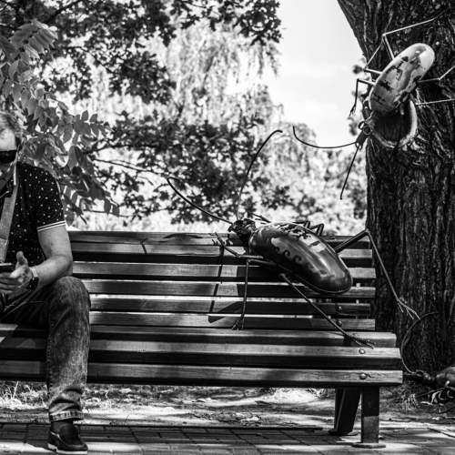 Фотография #10140135