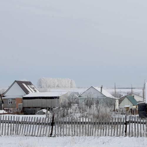 Photo #10140282