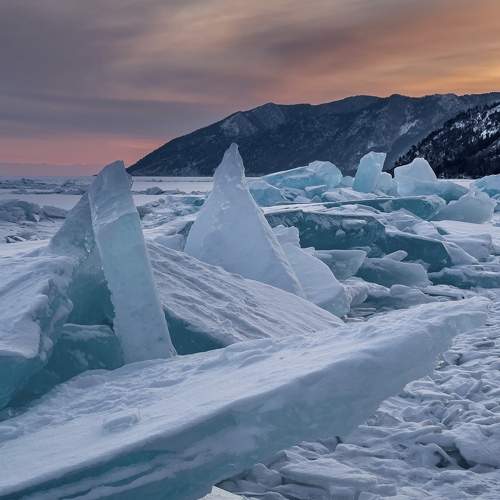 Photo #10140329