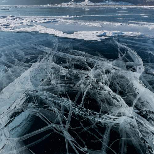 Photo #10140331