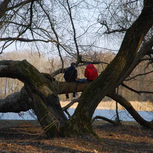 Photo #10140337