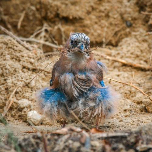 Фотография #10140556