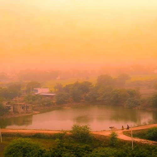 Photo #10140770