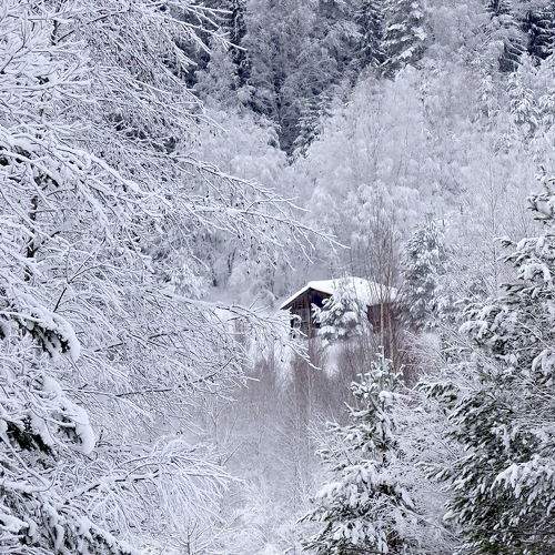 Photo #10140809