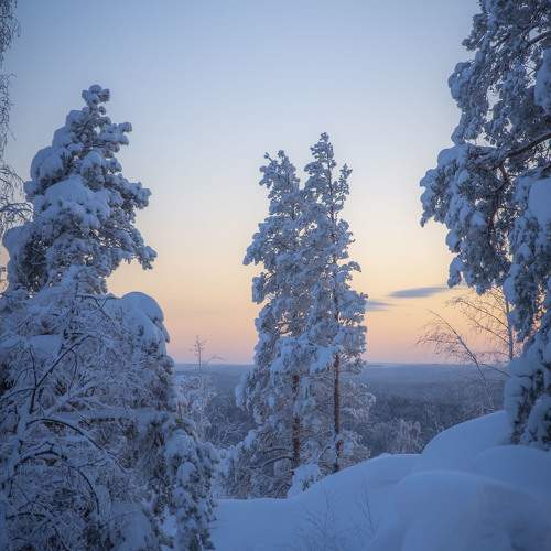 Фотография #10140919