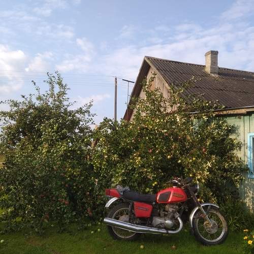Photo #10140954