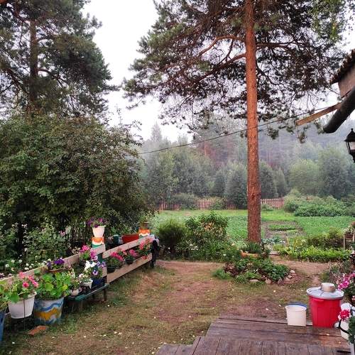Photo #10141124