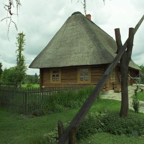 Photo #10141703