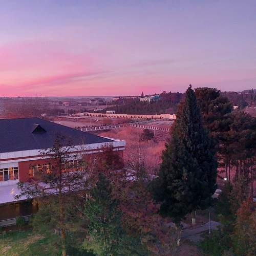 Photo #10141934