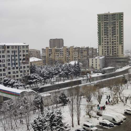 Photo #10142022