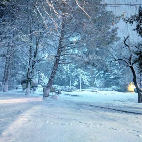 Photo #10142172
