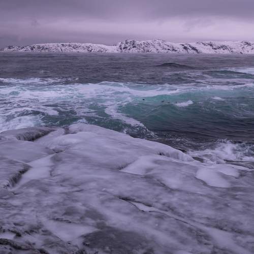Photo #10142271