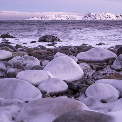 Photo #10142278