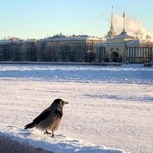 Photo #10142392