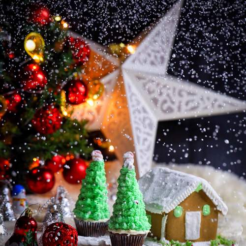 Photo #10142662