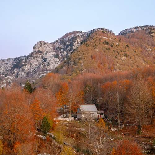 Photo #10142747