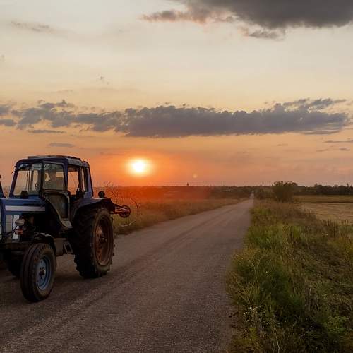 Returning home from the harvest