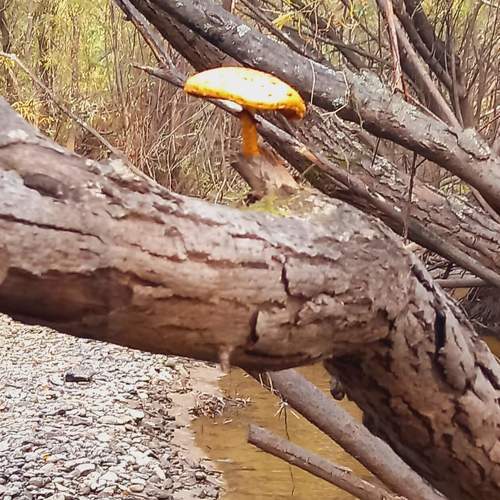 Photo #10143240