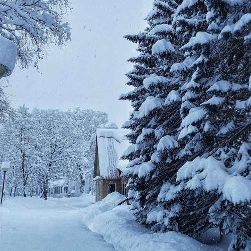 Photo #10143311
