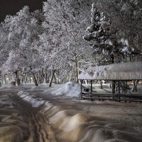 Под снежным одеялом❄