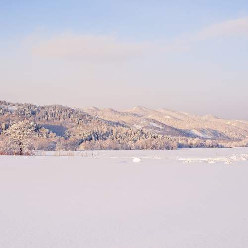 Photo #10143354