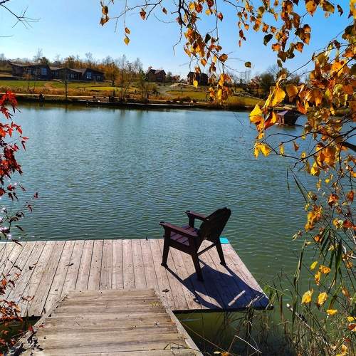 Photo #10143376