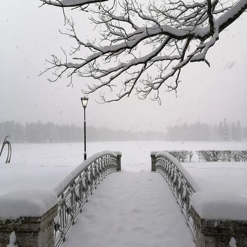 Photo #10143397