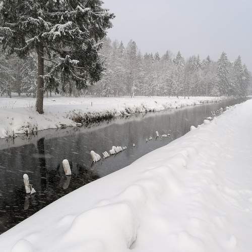 Photo #10143404