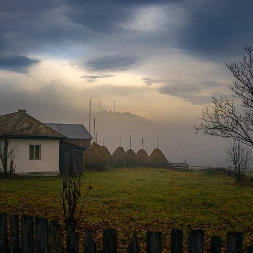 Photo #10143685