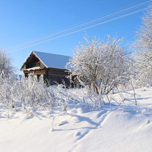 Photo #10143911