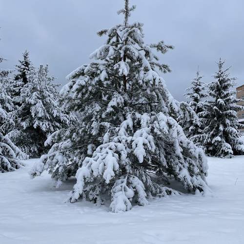 Photo #10143924