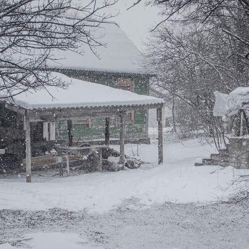 Photo #10143987