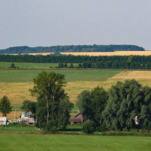 Photo #10144012