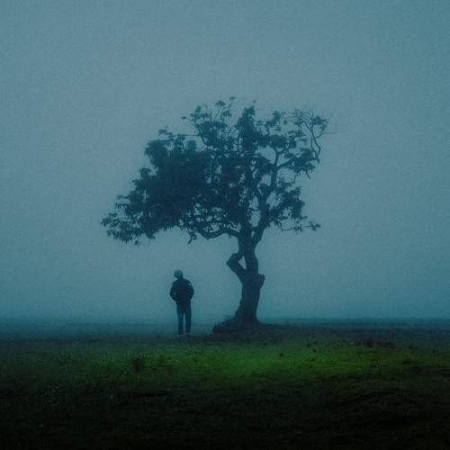 A Desolation Song