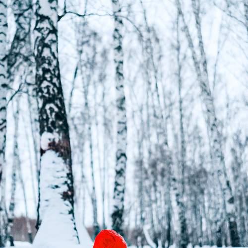 Photo #10144609