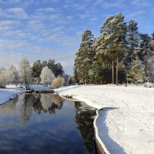 Photo #10144674