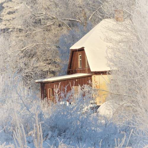 Photo #10144699