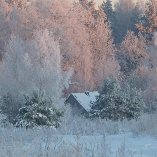 Photo #10144719