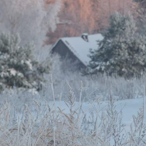 Photo #10144733