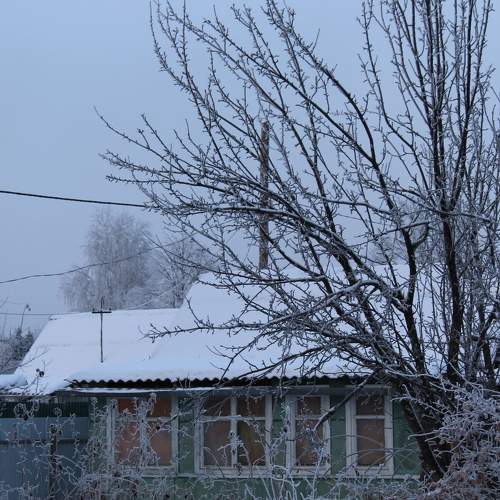 Photo #10144860