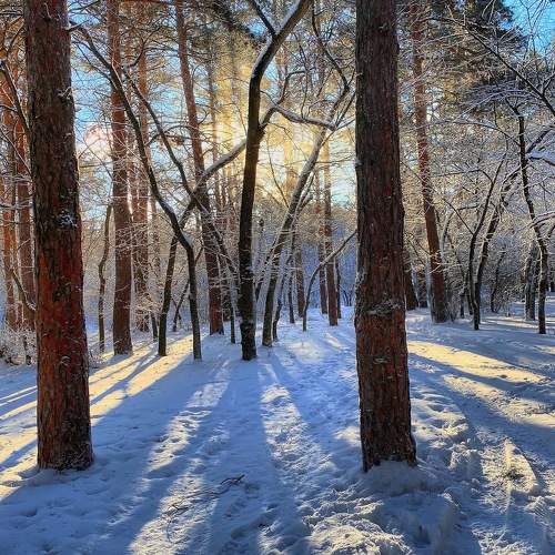 Photo #10145108