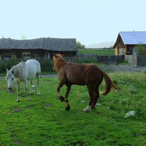 Photo #10145129