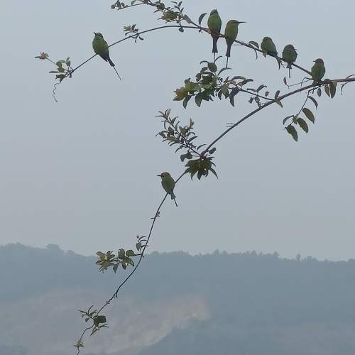 Photo #10145140