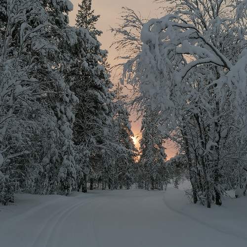 Photo #10145244