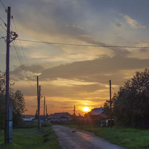 Photo #10145499